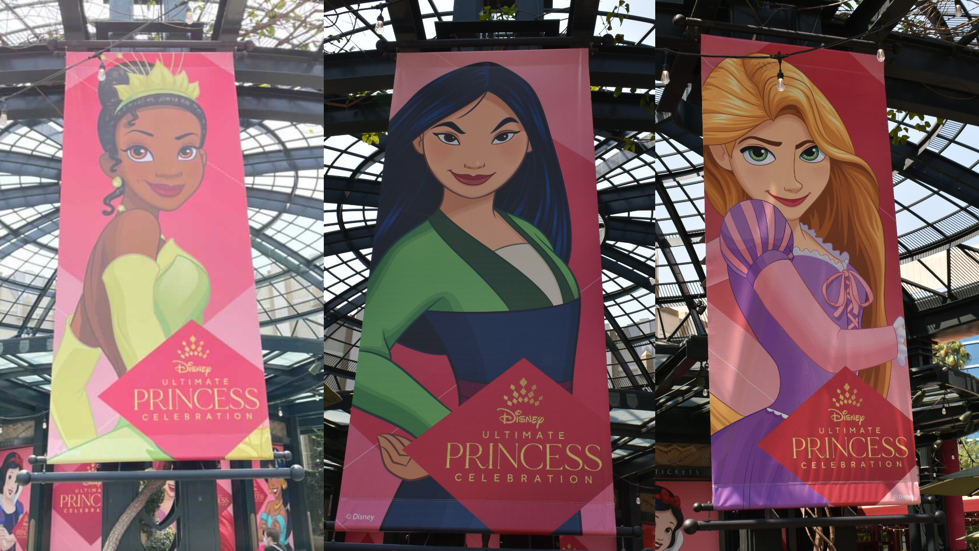 We Celebrated Disney Princesses All Week Long and This is How it Went
