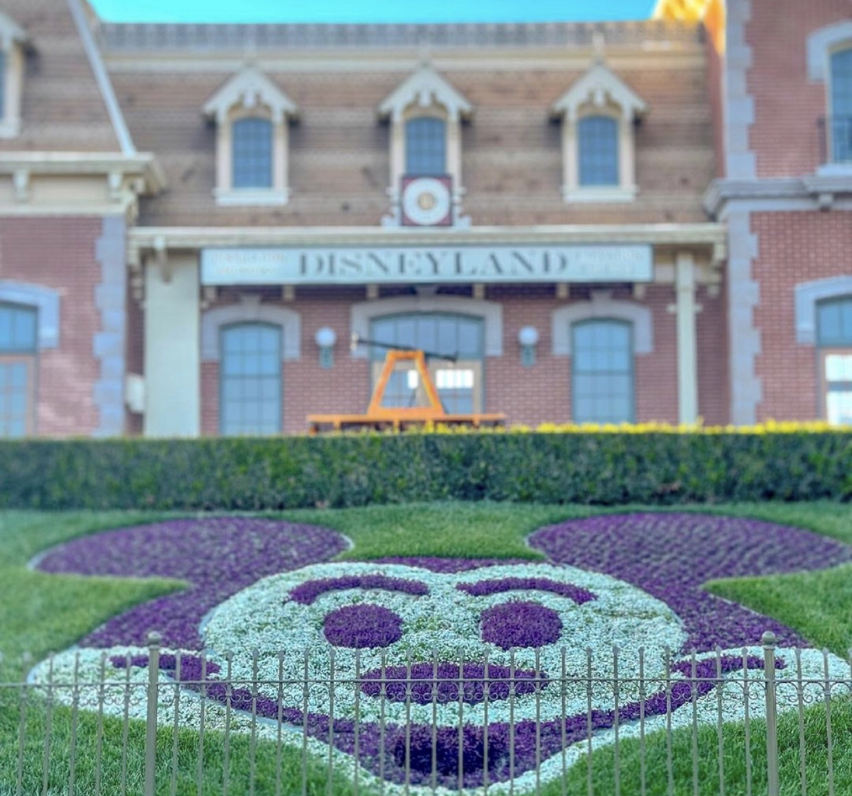 Disneyland the Movie, Coming to a Screen Near You?