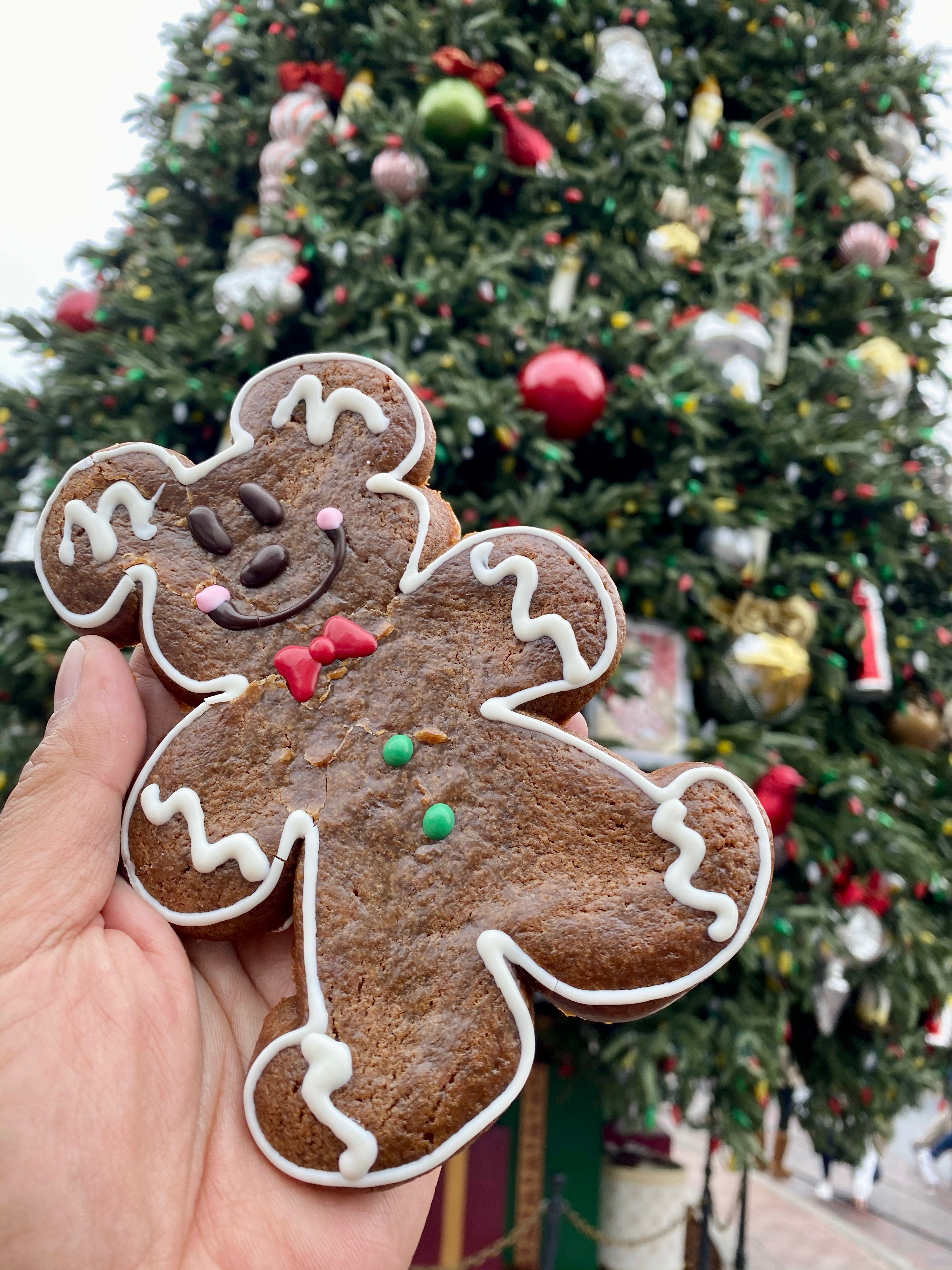 How to Make the Most Out of Your Merriest Nites at Disneyland