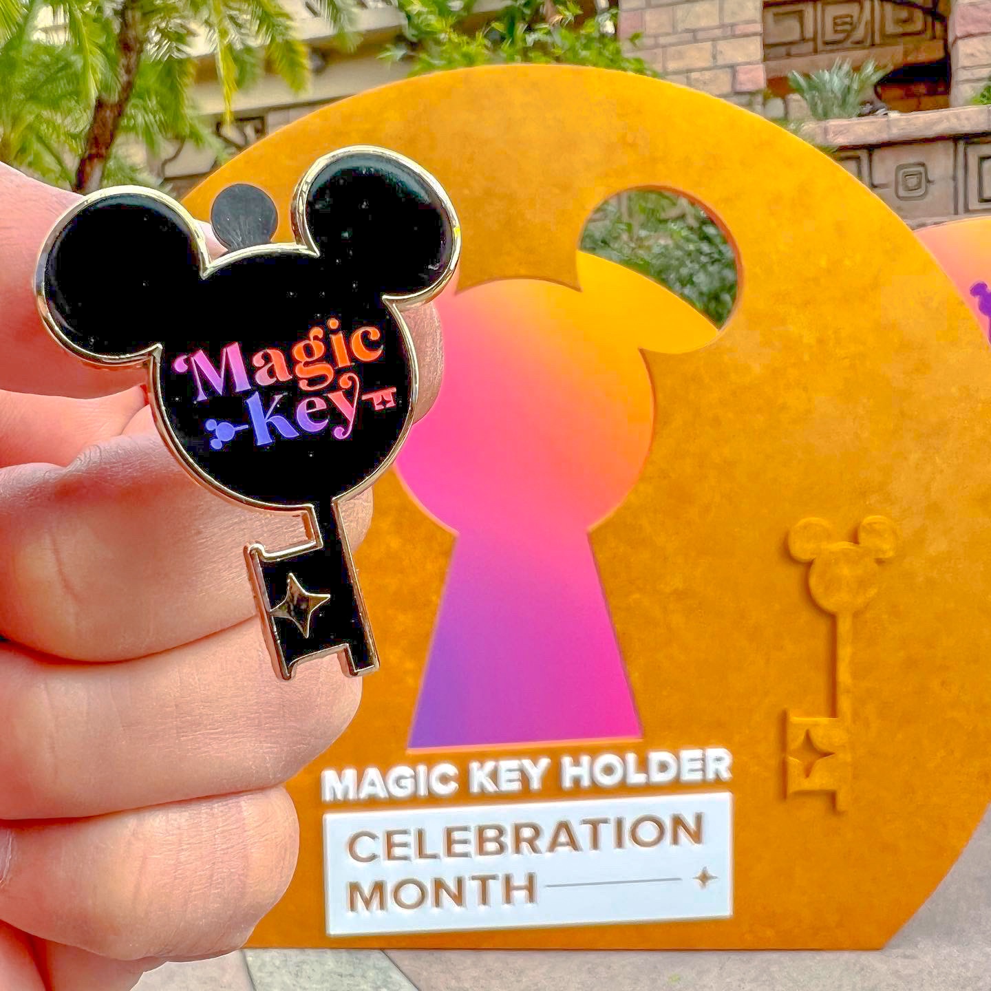 Disneyland started enforcing the no show policy