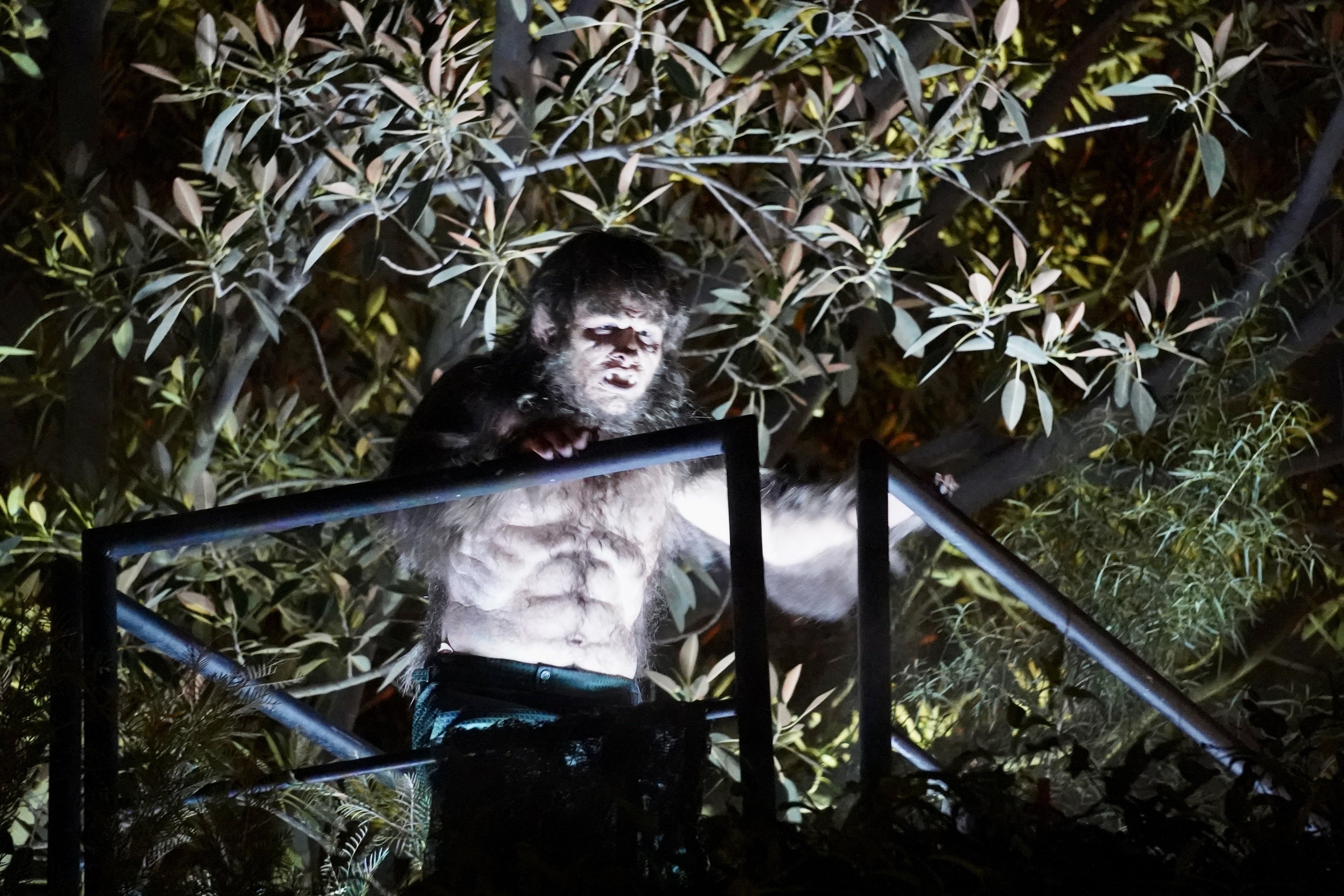 Werewolf By Night Appears at Avengers Campus