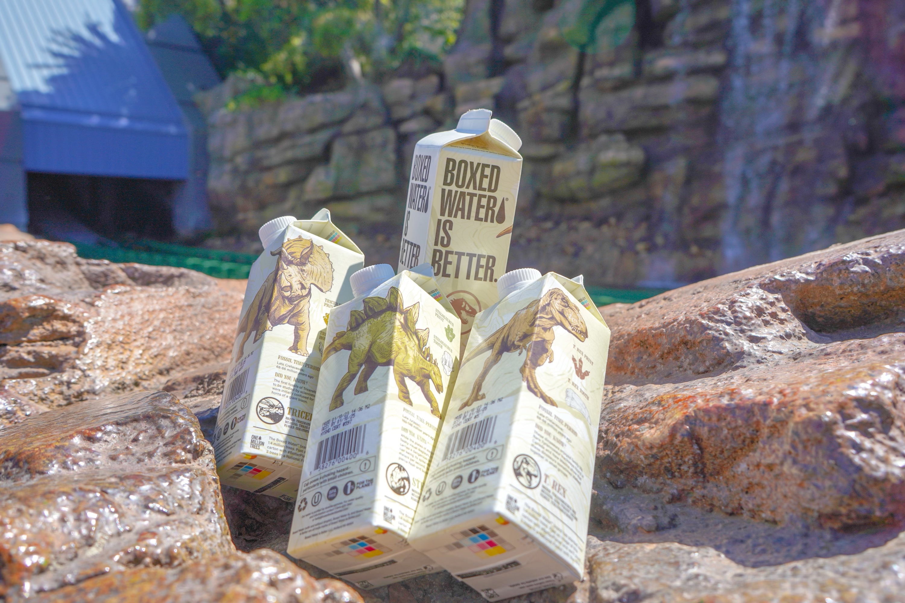 Jurassic World-Inspired Boxed Water: A Closer Look!