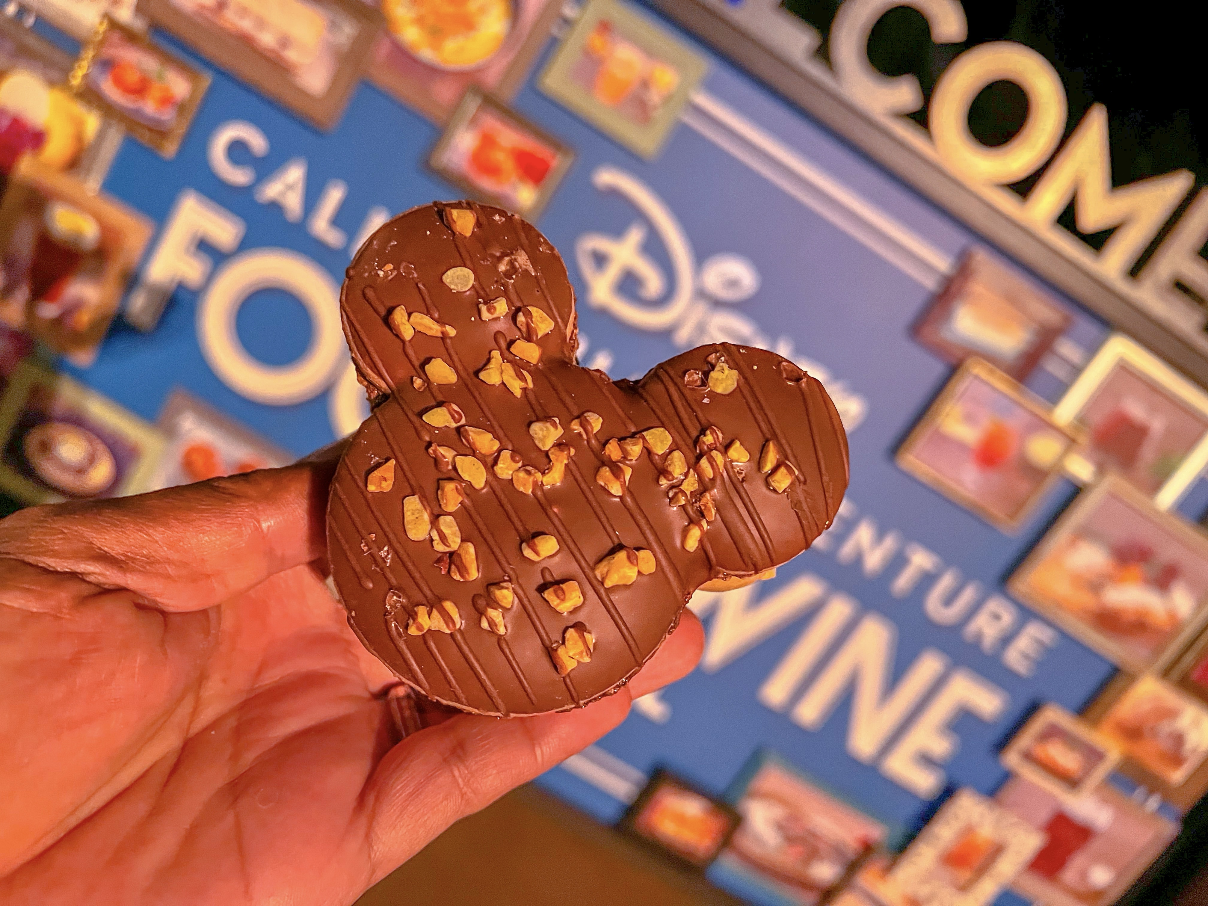 Disney California Adventure Food & Wine Festival 2024 Foodie Guide