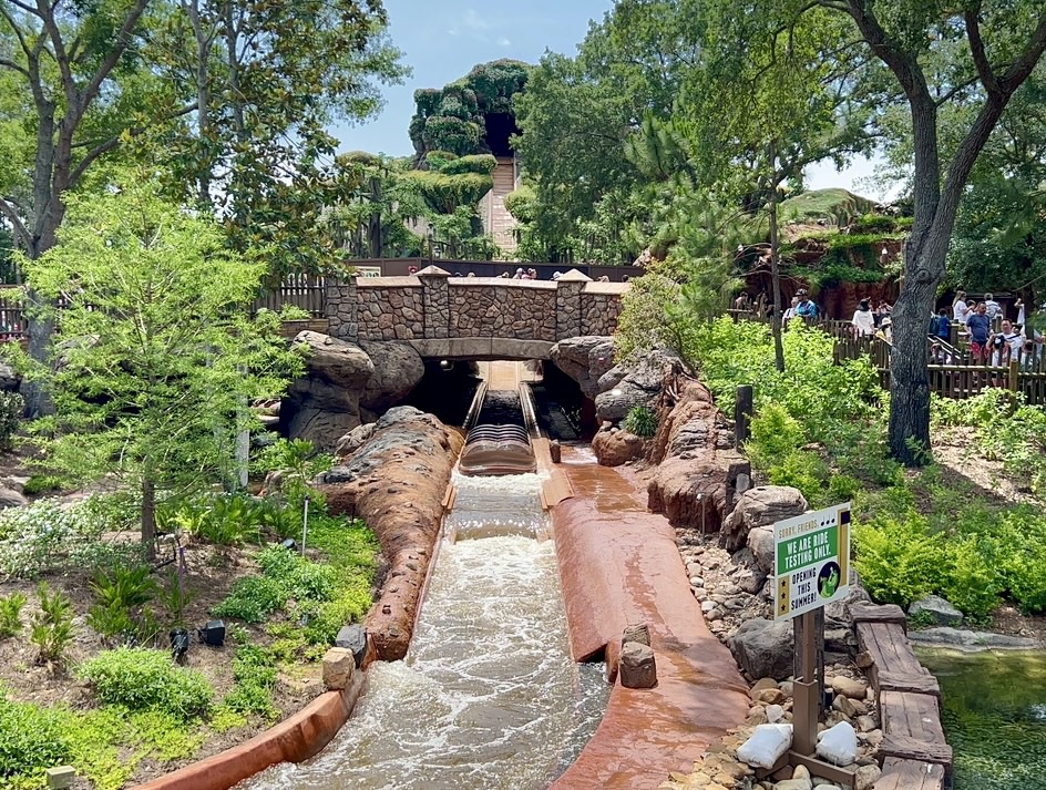 What To Expect For The Opening Of Tiana’s Bayou Adventure at Walt Disney World