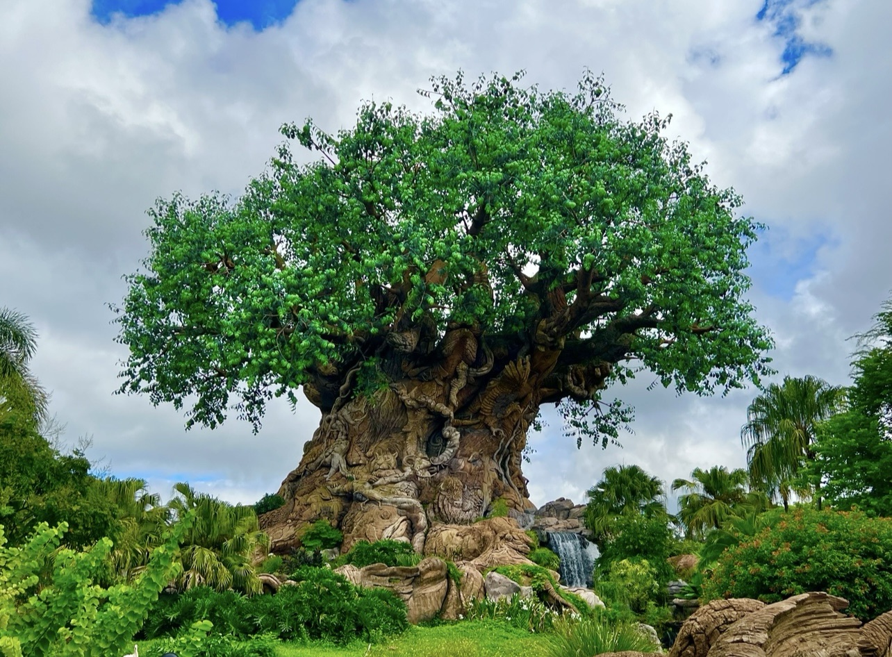 Disney Announces Lightning Lane Multi Pass