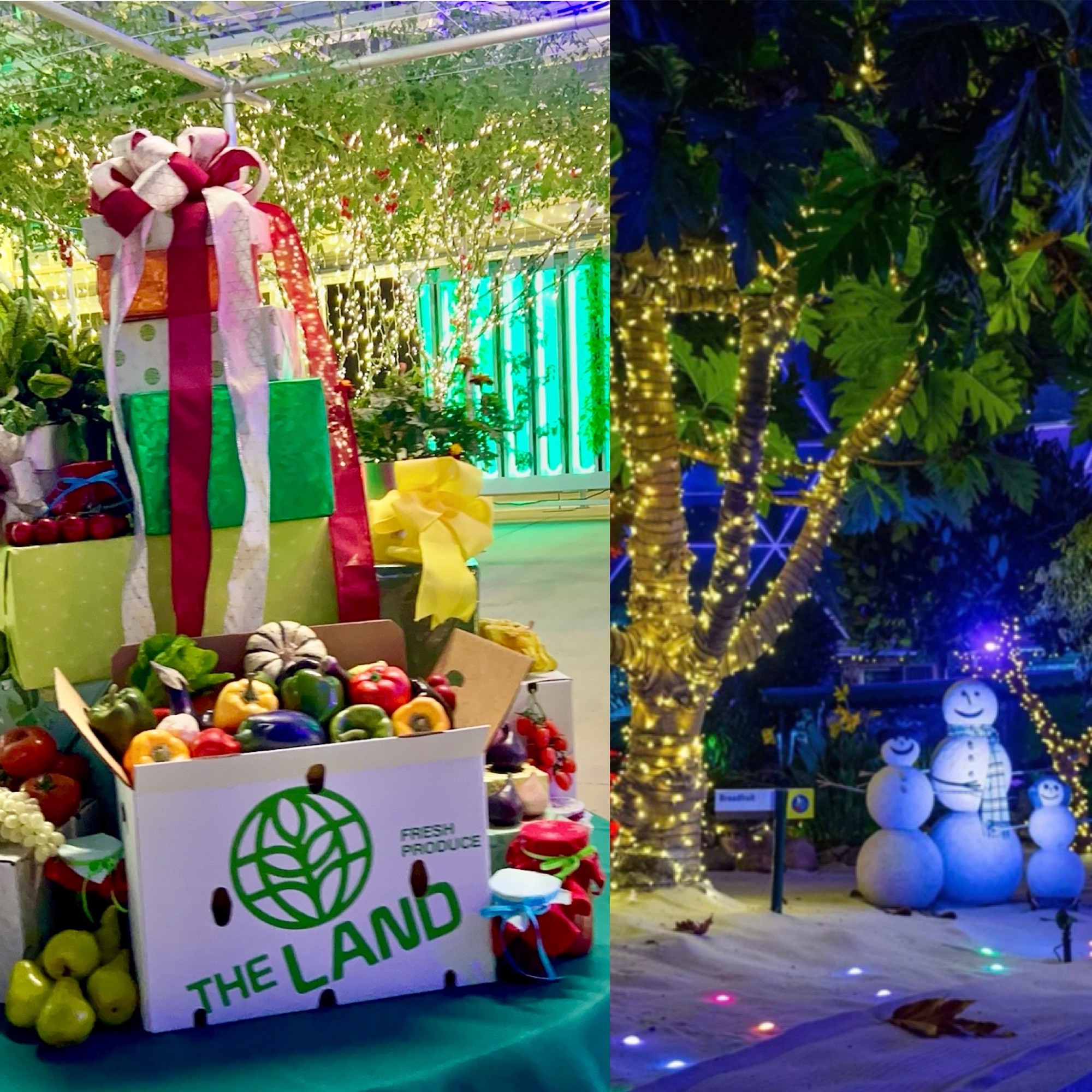 New Behind the Seeds Tour for Glimmering Greenhouses at Living with the Land